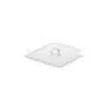 Couvercles plexi transparents avec encoche , GN1/4