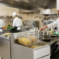 Friteuse à Gaz Tubulaire Professionnelle - Double Capacité