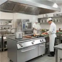 Plaque Coup de Feu Professionnelle 2 Feux Vifs avec Four à Gaz