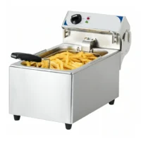 Friteuse électrique professionnelle 10 litres