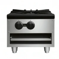 Réchaud à gaz professionnel 1 feu