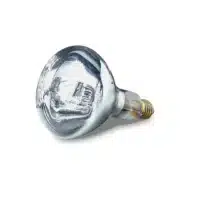 Ampoule blanche 250 W pour lampes pour lampes chauffantes