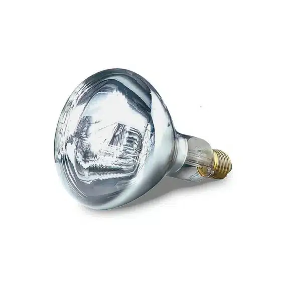 Ampoule blanche 250 W pour lampes pour lampes chauffantes