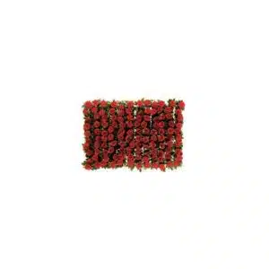 Barrette pour vitrine (boite de 12), roses rouges, longueur 250 mm