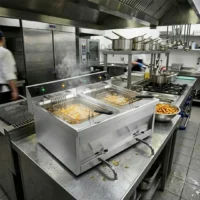 Friteuse électrique à poser 2 bacs