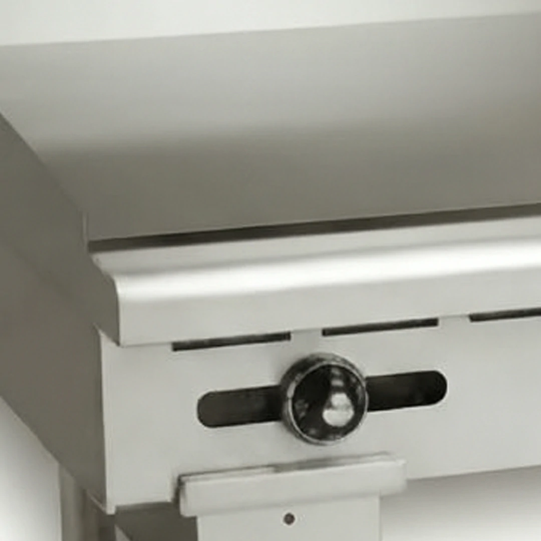 Plaque de cuisson haute puissance avec modèle à gaz