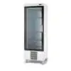 Armoire Gourmet positive, porte vitrée, extérieur tôle plastifiée, gaz R134a