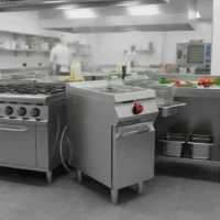 Friteuse à Gaz Professionnelle 10 kW avec Cuve en Acier