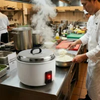 Cuiseur à Riz Professionnel 10 L