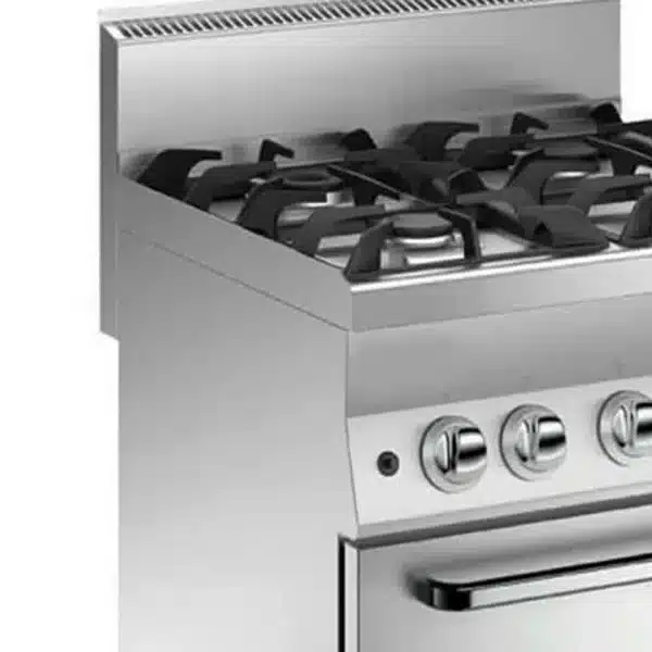 Fourneau Professionnel