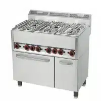 Fourneau à gaz professionnel avec four