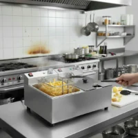 Friteuse double 2 x 2,8 kW capacité d'huile 2 x 5 L