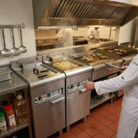 Friteuse Électrique sur Pieds 16 Litres