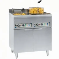 Friteuse Électrique 2 x 16 Litres