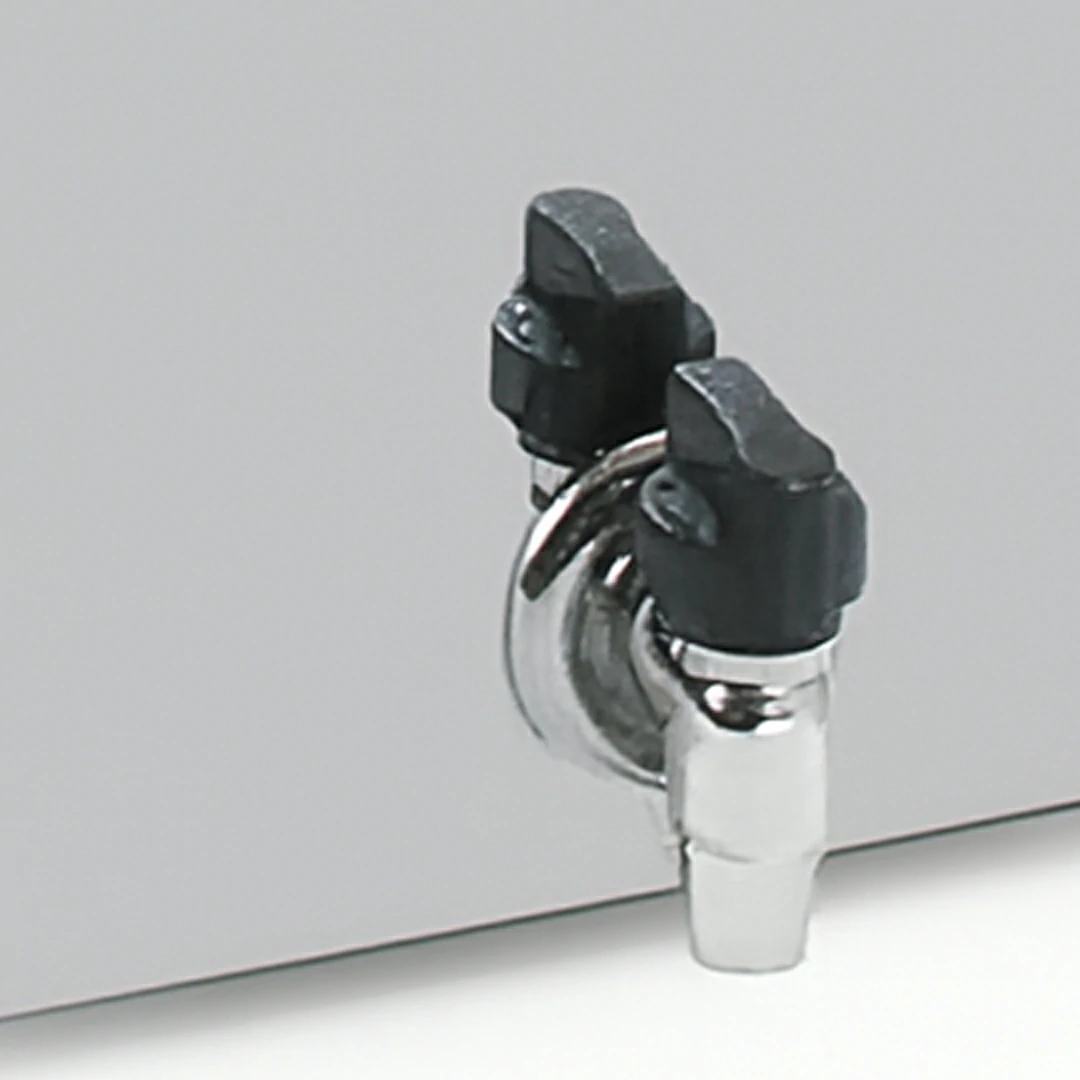 Friteuse de Table Électrique avec Vidange Simple