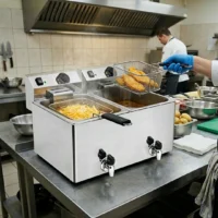 Friteuse de Table Électrique Professionnelle à Double Cuve
