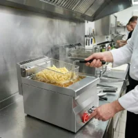 Friteuse Électrique 10 L Professionnelle