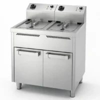 Friteuse Électrique Professionnelle