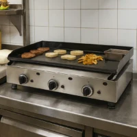 Plaque à snacker gamme euro gaz longueur 800 mm