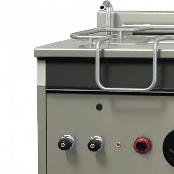 Sauteuse Basculante Professionnelle