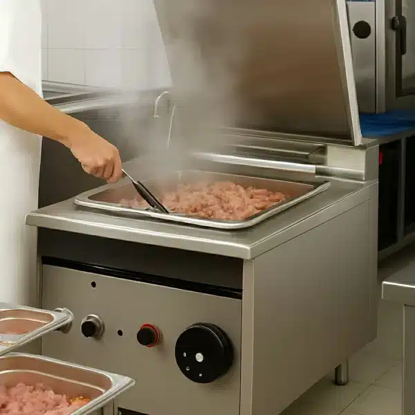 Sauteuse électrique Professionnelle
