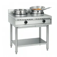 Wok gaz 2 brûleurs 23 kW