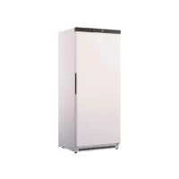 Armoire réfrigérée négative 600 L