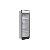 Armoire à boisson 1 porte vitrée + canopy 372 L