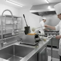 Gaufrier Réversible à Gaz Professionnel