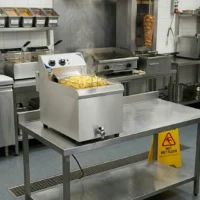 Friteuse Électrique Haut Rendement 10 Litres