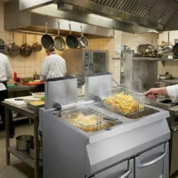 Friteuse à Gaz Professionnelle sur Coffre