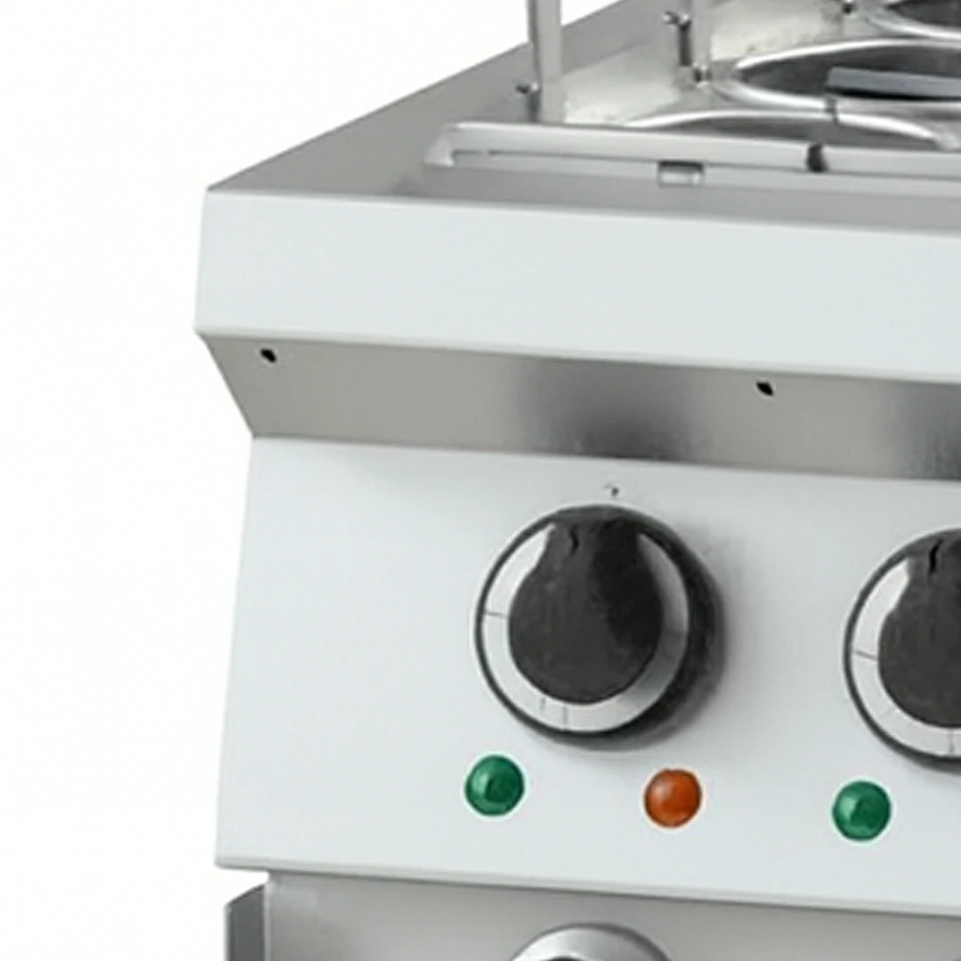 Cuiseur à nouilles électrique 12 kW