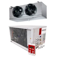 Groupe frigorifique monobloc "By-block" T° -5°+5° pour chambre froide positive