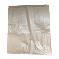 Sac 4 kg papier kraft brun