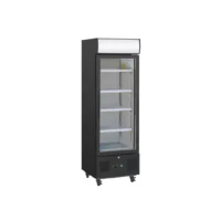 Vitrine réfrigérée positive 218 L