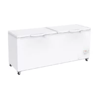 Congélateur bahut professionnel 655 L