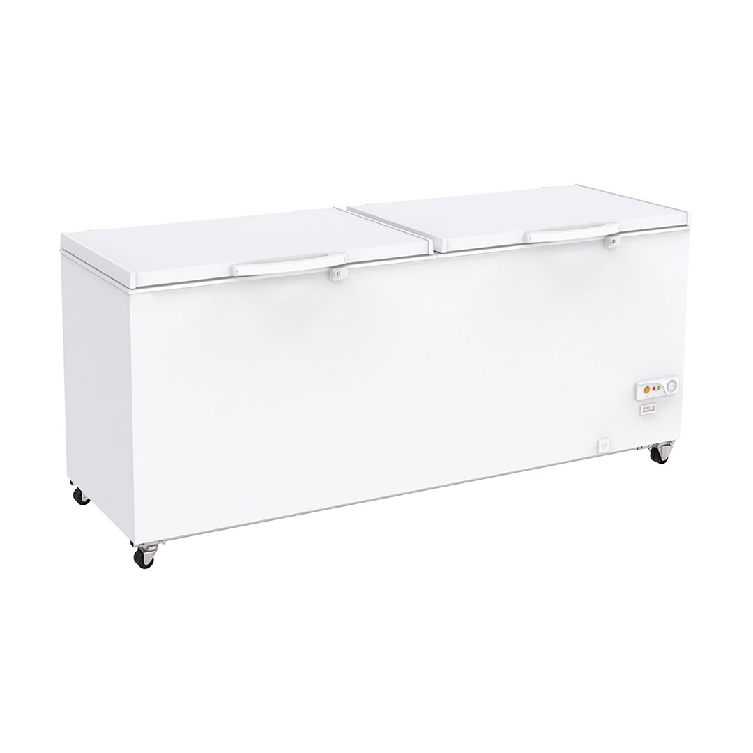 Congélateur bahut professionnel 655 L